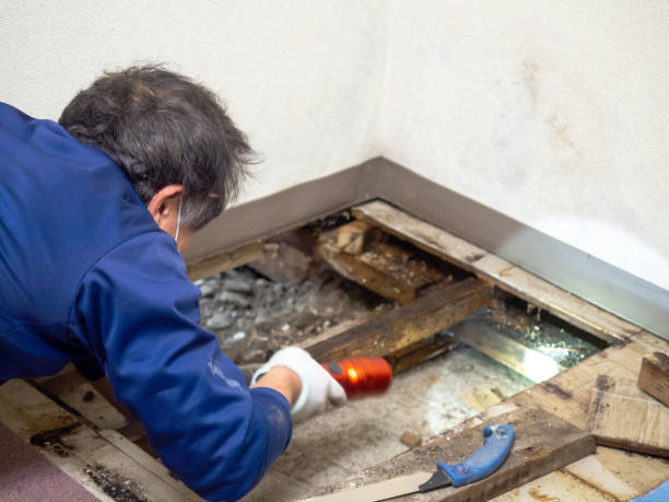 Best Emergency Mold Removal  in Thomasville, GA