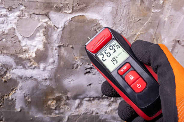 Best Black Mold Removal  in Thomasville, GA