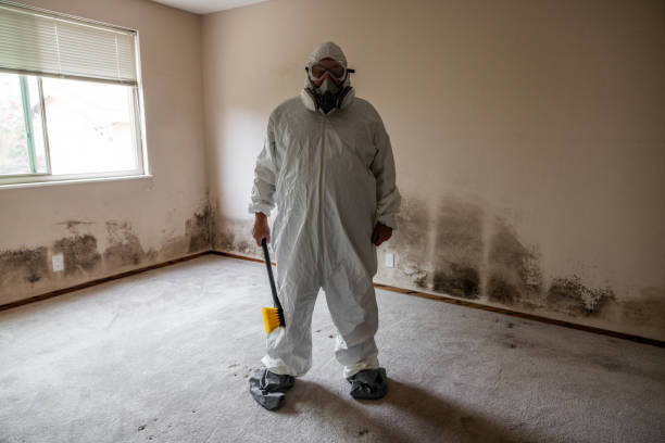 Best Local Mold Removal Service  in Thomasville, GA