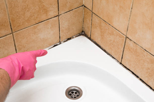 Best Fast Mold Removal  in Thomasville, GA
